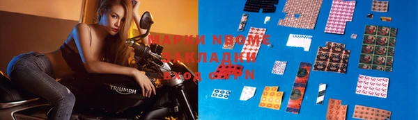 шишки Алексин