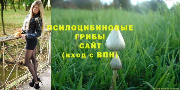 шишки Алексин